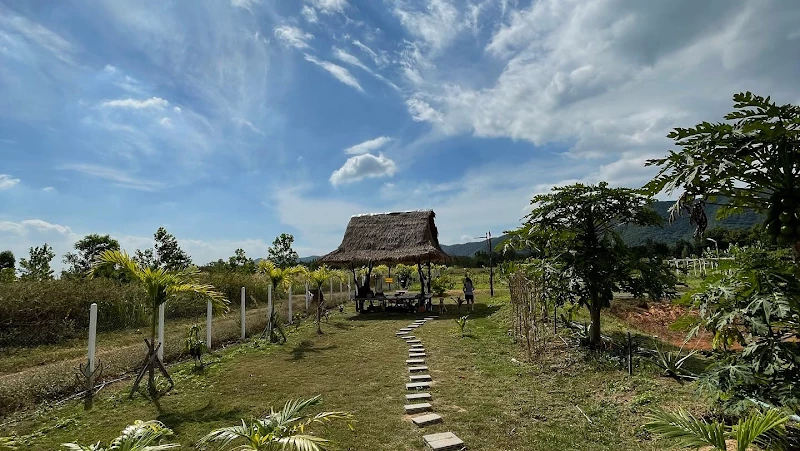 Thailand Yoga wellness retreat