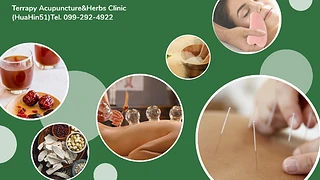 Terra Acupuncture&Herbs Huahin ฝังเข็ม ยาจีน หัวหิน