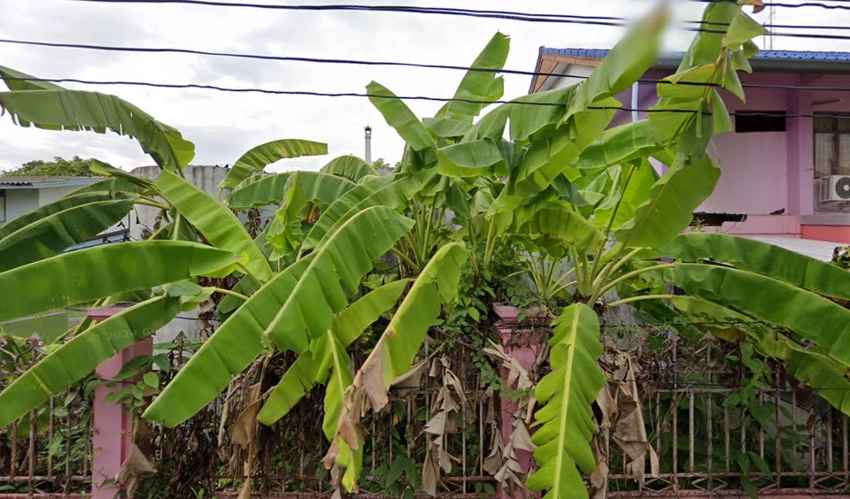 โรงพยาบาลส่งเสริมสุขภาพตำบลสระกะเทียม