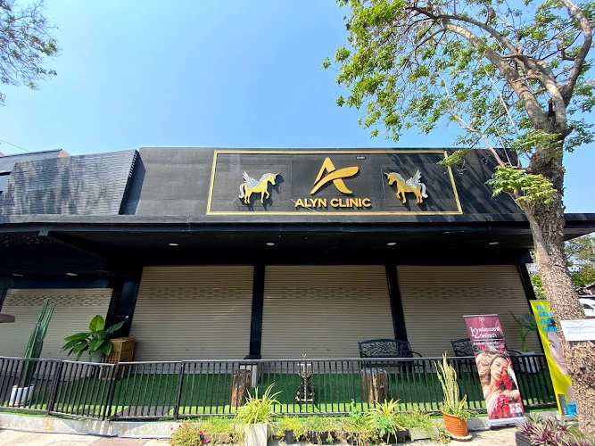 ALYN CLINIC อลินคลินิกเวชกรรม สาขาลพบุรี (สำนักงานใหญ่)